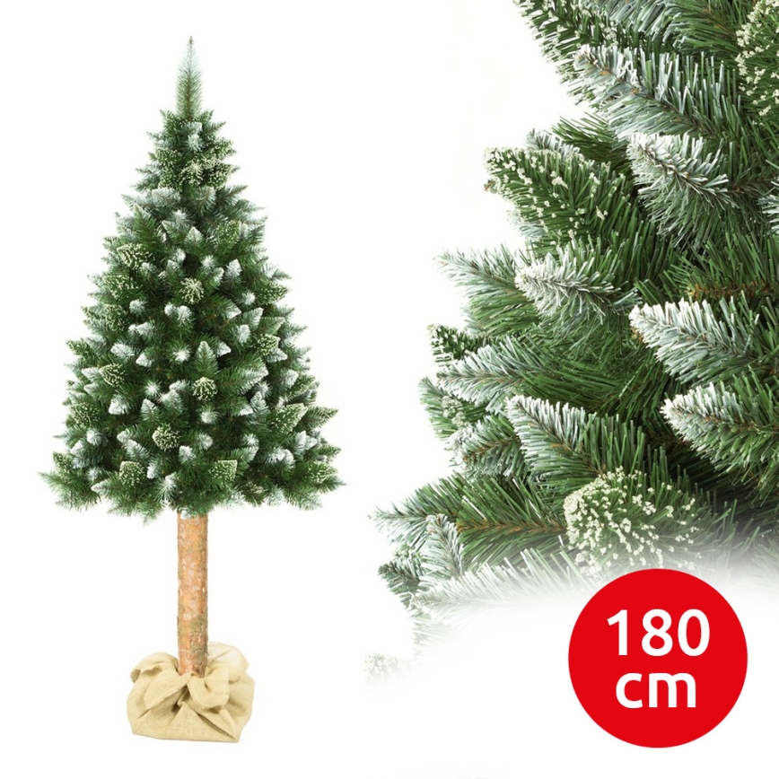 Jõulupuu tüvega 180 cm mänd