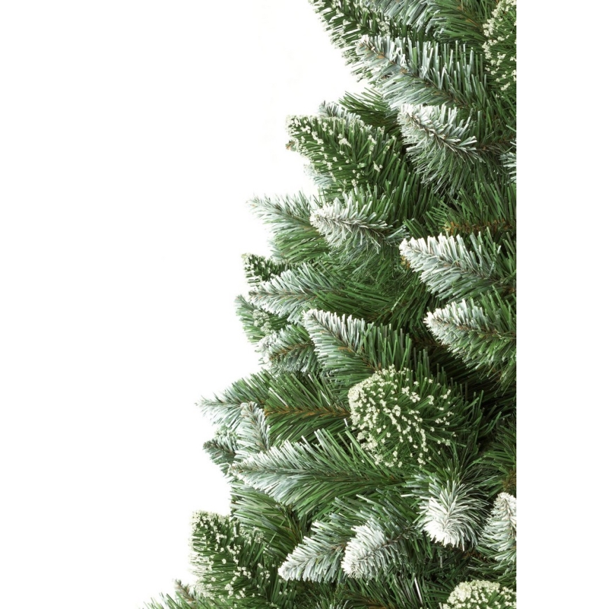 Jõulupuu tüvega 180 cm mänd