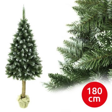 Jõulupuu tüvega 180 cm nulg