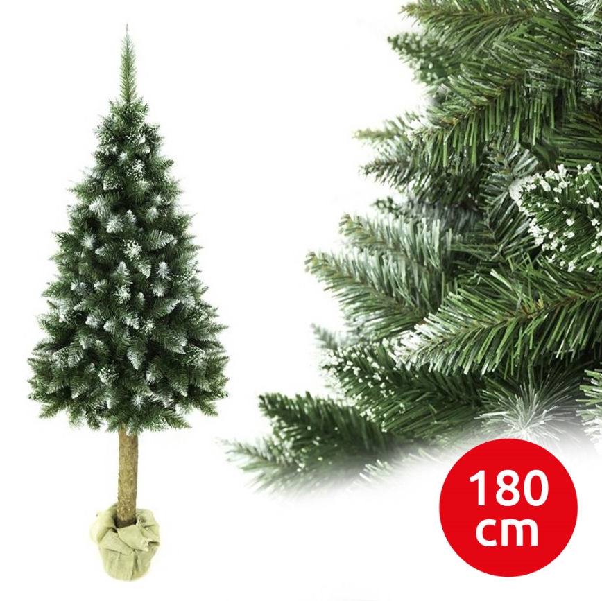Jõulupuu tüvega 180 cm nulg