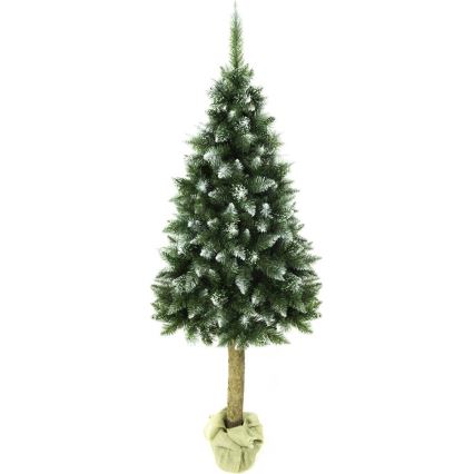 Jõulupuu tüvega 180 cm nulg