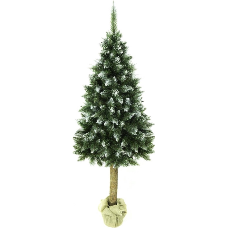 Jõulupuu tüvega 180 cm nulg