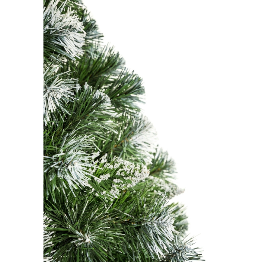 Jõulupuu tüvega 220 cm mänd