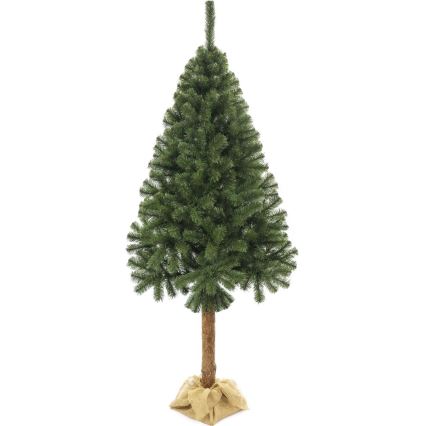 Jõulupuu tüvega 220 cm nulg