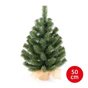 Jõulupuu XMAS TREES 50 cm mänd