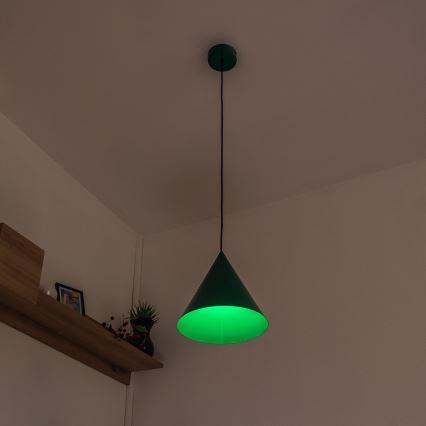 Juhtmega ripplamp ETNA 1xE27/15W/230V, läbimõõt 25 cm, roheline