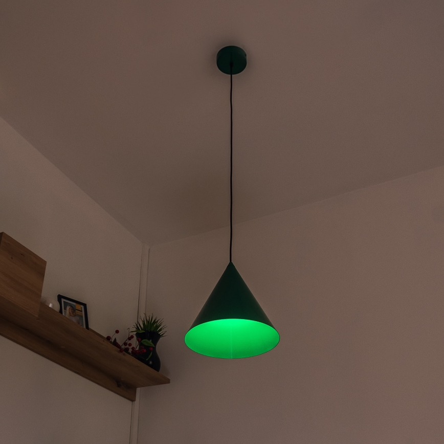 Juhtmega ripplamp ETNA 1xE27/15W/230V, läbimõõt 25 cm, roheline