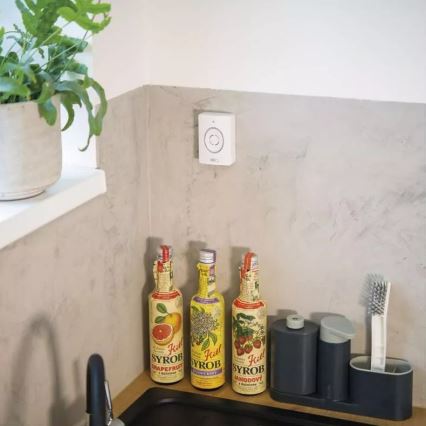 Juhtmevaba videouksekell liikumisanduriga GoSmart 12V/3xAA IP44 Wi-Fi Tuya