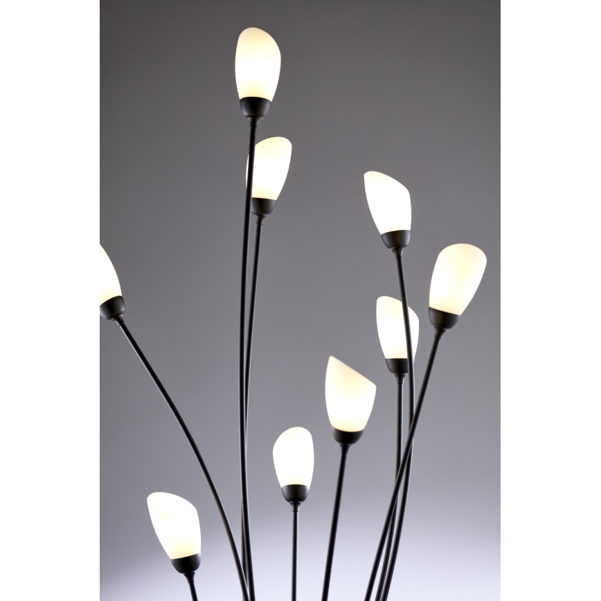 Jupiter 2058 - Põrandalamp GLORIOSA 9xG9/14W/230V must