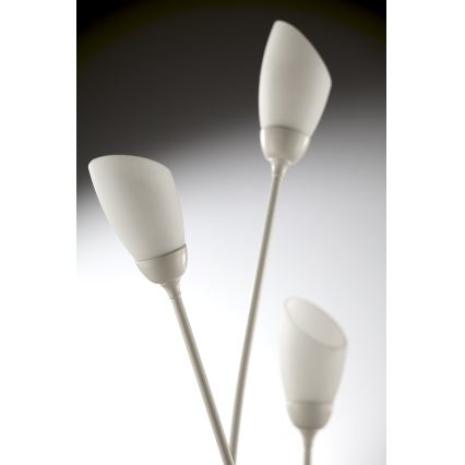 Jupiter 2063 - põrandalamp GLORIOSA 9xG9/14W/230V kreemjas