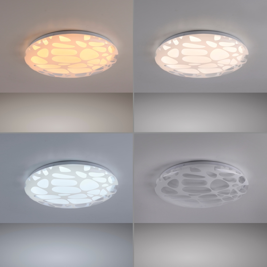 JUST LIGHT. 14009-16 - LED hämardatav laelamp ART PLAFO LED/20W/230V 2700-6500K läbimõõt 38 cm valge + kaugjuhtimispult