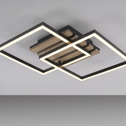 JUST LIGHT. 14053-79 - LED laelamp AKUSTIKA LED/15W/230V tamm/must