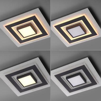 JUST LIGHT. 14439-21 - LED laelamp CICHIO LED/18,5W/230V + LED/9W 40x40 cm must