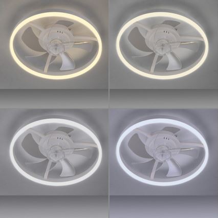 LIHTSALT VALGUS. 14624-16 - LED-hämardatav laeventilaator valgusega RITA LED/22W/230V 3000-6000K läbimõõt 50 cm valge + kaugjuhtimispult