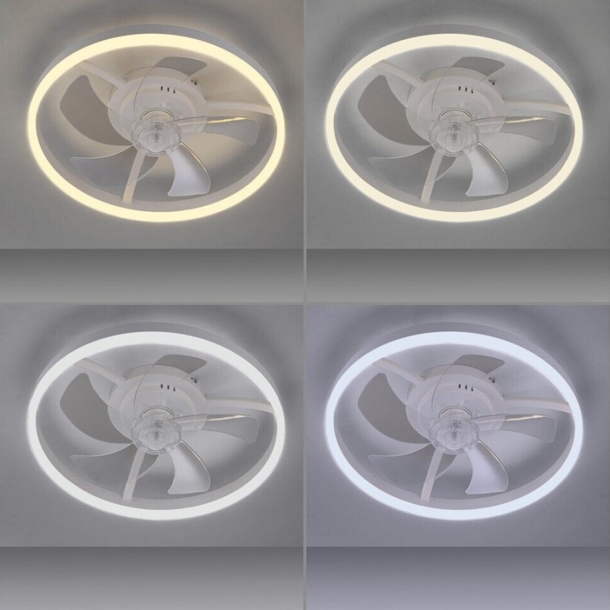 LIHTSALT VALGUS. 14624-16 - LED-hämardatav laeventilaator valgusega RITA LED/22W/230V 3000-6000K läbimõõt 50 cm valge + kaugjuhtimispult