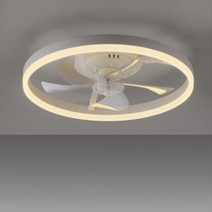 LIHTSALT VALGUS. 14624-16 - LED-hämardatav laeventilaator valgusega RITA LED/22W/230V 3000-6000K läbimõõt 50 cm valge + kaugjuhtimispult