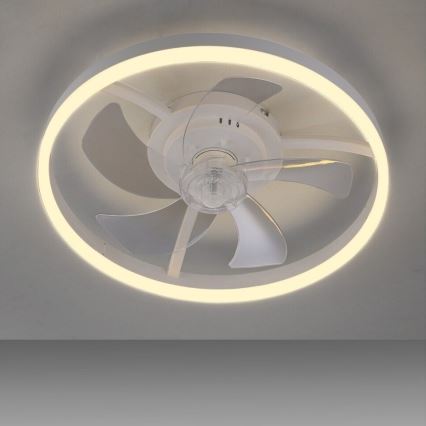 LIHTSALT VALGUS. 14624-16 - LED-hämardatav laeventilaator valgusega RITA LED/22W/230V 3000-6000K läbimõõt 50 cm valge + kaugjuhtimispult