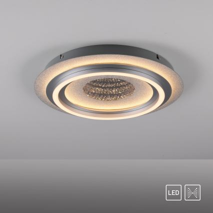 JUST LIGHT. 15089-21 - LED-laelamp CICHIO LED/36W/230V läbimõõt 40 cm mattkroom