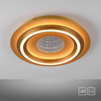 JUST LIGHT. 15089-60 - LED laelamp CICHIO LED/36W/230V läbimõõt 40 cm kuldne