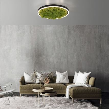 JUST LIGHT. 15391-66 - LED Hämardatav laevalgusti ROHELINE RITU LED/20W/230V