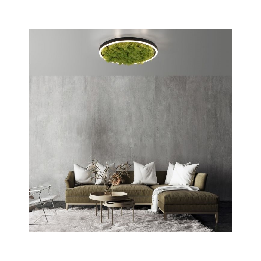 JUST LIGHT. 15391-66 - LED Hämardatav laevalgusti ROHELINE RITU LED/20W/230V