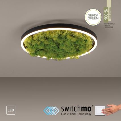 JUST LIGHT. 15391-66 - LED Hämardatav laevalgusti ROHELINE RITU LED/20W/230V