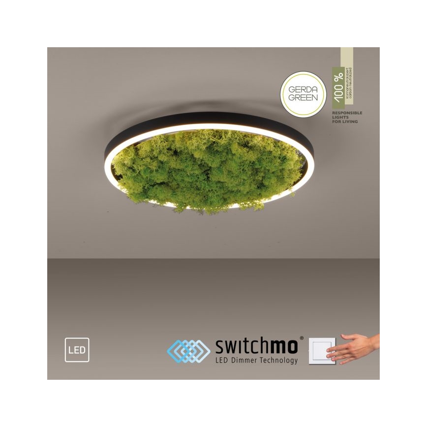 JUST LIGHT. 15391-66 - LED Hämardatav laevalgusti ROHELINE RITU LED/20W/230V