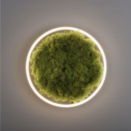 JUST LIGHT. 15391-66 - LED Hämardatav laevalgusti ROHELINE RITU LED/20W/230V