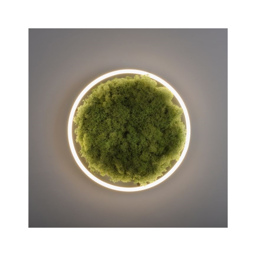 JUST LIGHT. 15391-66 - LED Hämardatav laevalgusti ROHELINE RITU LED/20W/230V