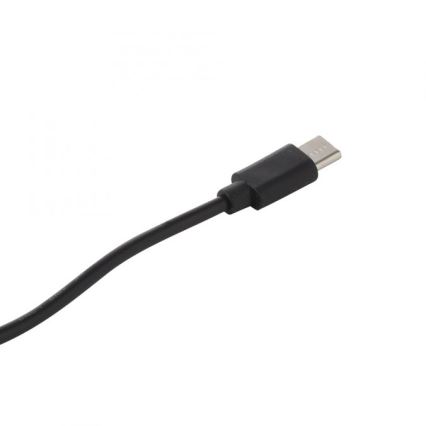 JUST LIGHT. 19260-18 - LED Hämardatav puutetundlik väli lamp ABERA LED/3W/3,7V 2000 mAh USB IP54 must