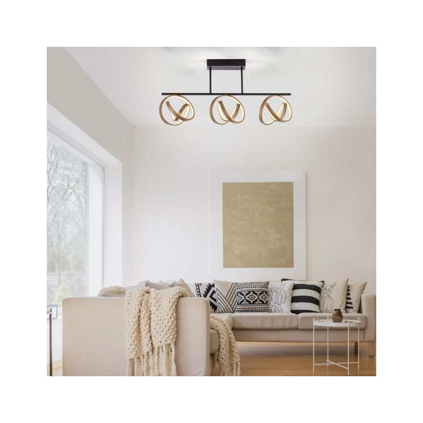 JUST LIGHT. 6245-18 - LED Hämardatav pinnale kinnitatav lühter LOOP 3xLED/11W/230V 2700-5000K + kaugjuhtimispult