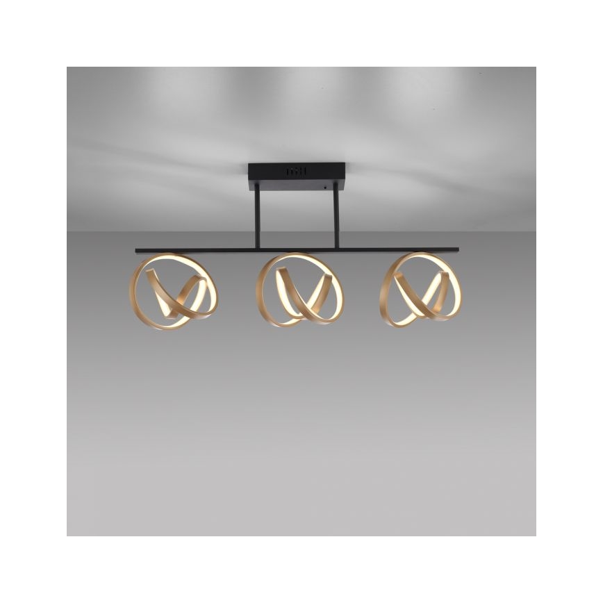JUST LIGHT. 6245-18 - LED Hämardatav pinnale kinnitatav lühter LOOP 3xLED/11W/230V 2700-5000K + kaugjuhtimispult