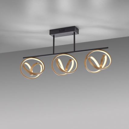 JUST LIGHT. 6245-18 - LED Hämardatav pinnale kinnitatav lühter LOOP 3xLED/11W/230V 2700-5000K + kaugjuhtimispult