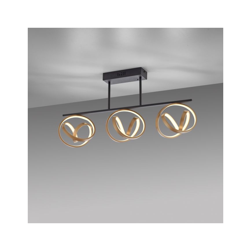 JUST LIGHT. 6245-18 - LED Hämardatav pinnale kinnitatav lühter LOOP 3xLED/11W/230V 2700-5000K + kaugjuhtimispult