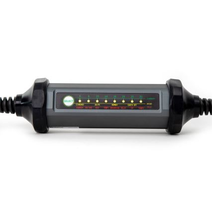 Kaasaskantav elektriautode laadija koos 4 adapterid Tüüp 2 32A/480V 22kW 5m IP67