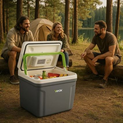 Kaasaskantav külmik autosse soojendamisfunktsiooniga 27 l 230V/12V/24V hall
