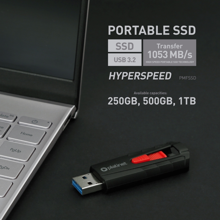 Kaasaskantav SSD pulk 250 GB USB 3.2 Gen2