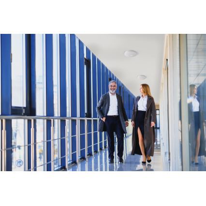 LED laelamp liikumis- ja hämaruseanduriga FOGLER LED/17W/230V, läbimõõt 33 cm