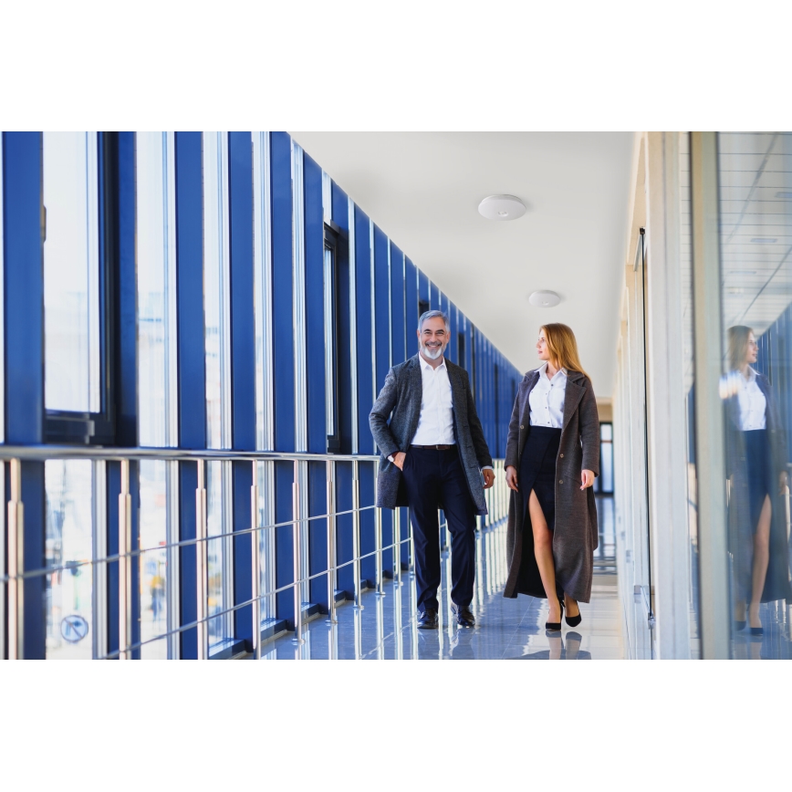 LED laelamp liikumis- ja hämaruseanduriga FOGLER LED/17W/230V, läbimõõt 33 cm