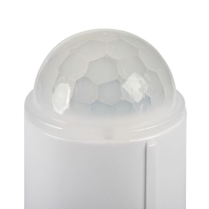 LED laelamp FOGLER LED/24W/230V koos liikumis- ja hämarussensoriga, läbimõõt 38 cm