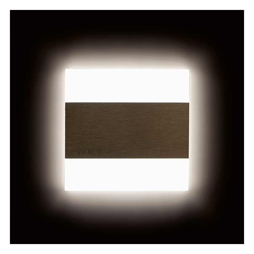 LED Trepivalgusti LED/0,8W/12V 6500K