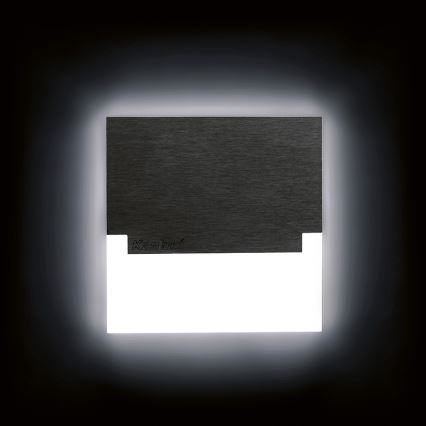 LED suunav valgusti LED/0,8W/12V