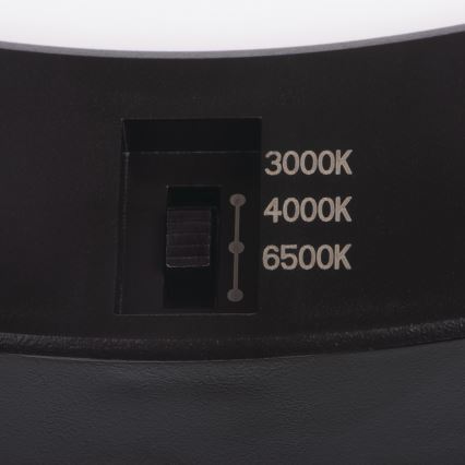 LED Lae-/süvistatav valgusti liikumisanduriga 2in1 ERGA LED/17W/230V 3000/4000/6500K must