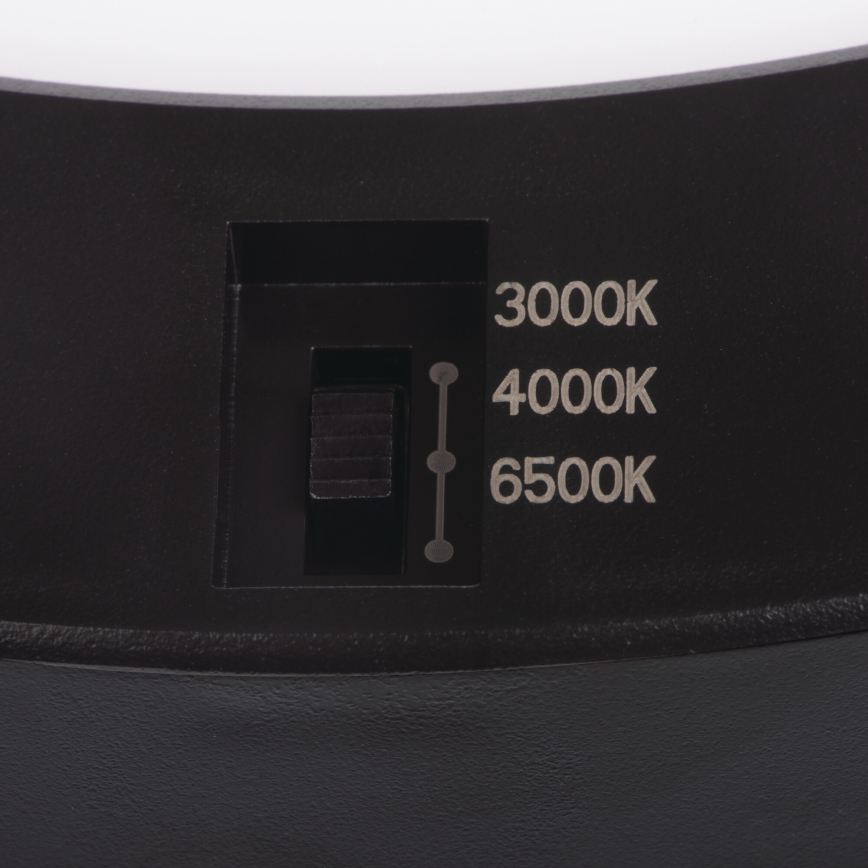 LED Lae-/süvistatav valgusti liikumisanduriga 2in1 ERGA LED/17W/230V 3000/4000/6500K must