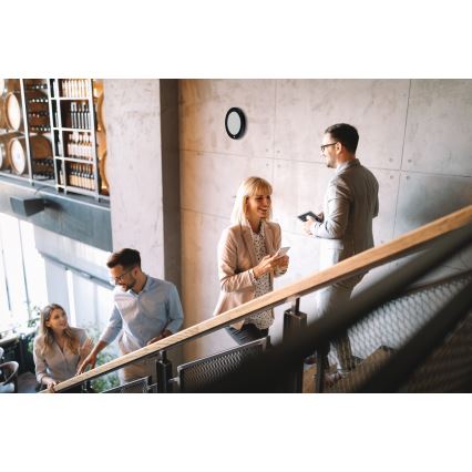 LED lae- ja süvistatav valgusti 2-ühes ERGA LED/17W/230V 3000/4000/6500K must