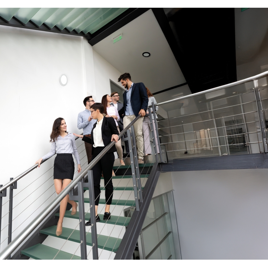 LED lae-/süvistatav valgusti 2-ühes ERGA LED/17W/230V 3000/4000/6500K valge