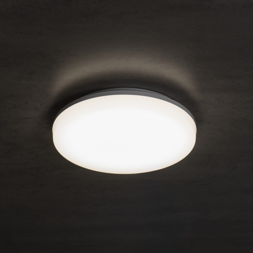 LED laelamp VARSO LED/22/30W/230V 3000/4000/6500K läbimõõt 33 cm IP54