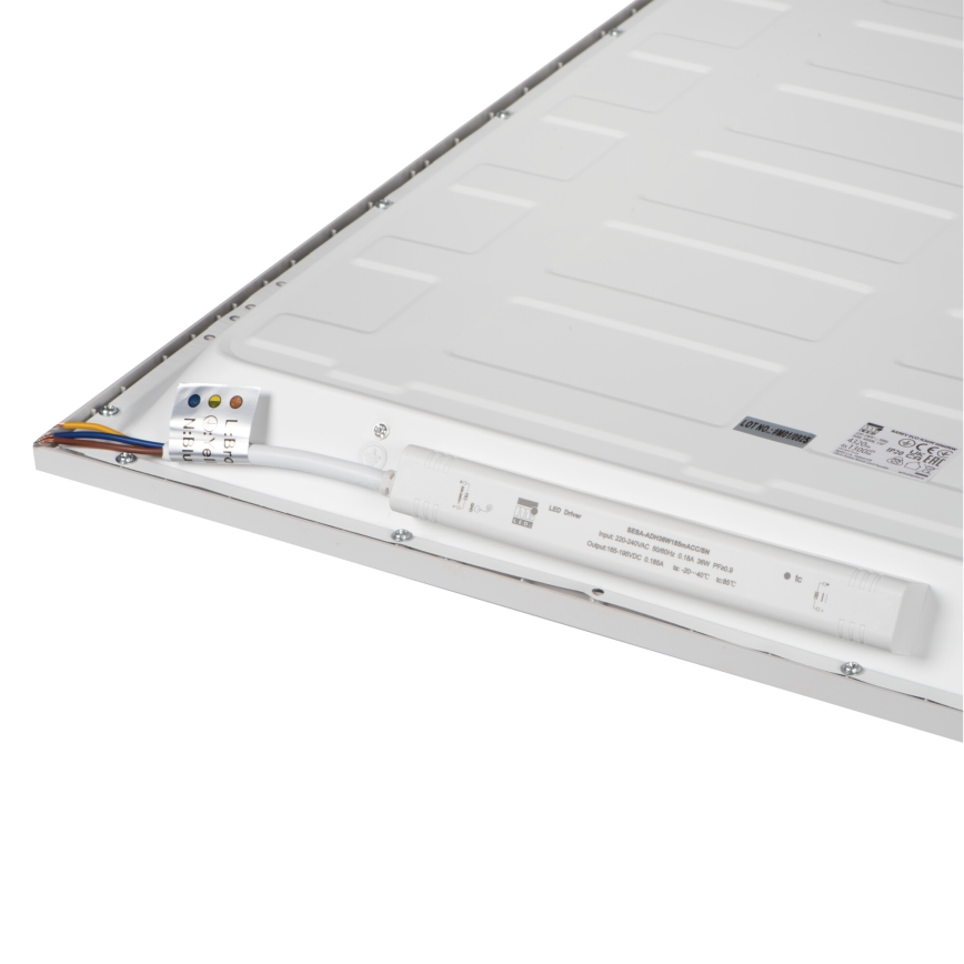 LED laepaneel BAREV LED/36W/230V 4000K 60x60 cm