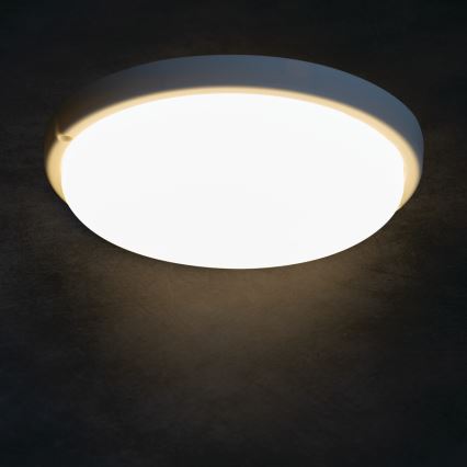 LED Laevalgusti vannituppa TOLU LED/18W/230V 4000K IP54 valge