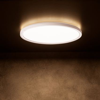 LED laevalgusti AZPO 22 W / 230 V, 3000/4000/6000 K, läbimõõt 42 cm, IP54, valge